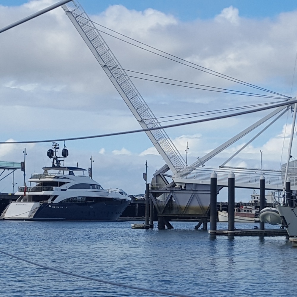 Meet your Posher, Angelica